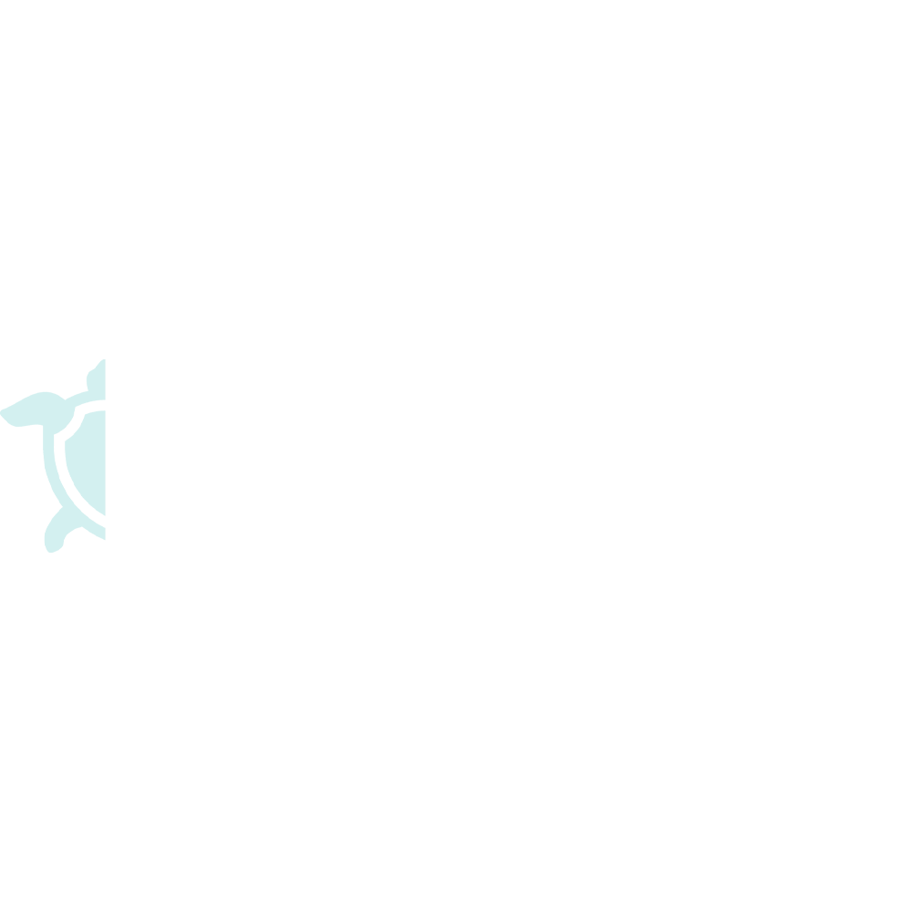 connectsecure